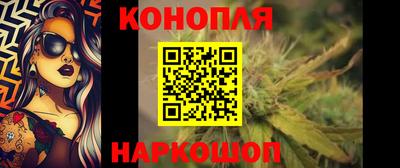 Альфа ПВП Будённовск