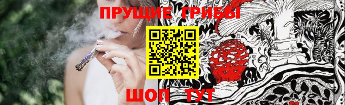 Галлюциногенные грибы Cubensis Георгиевск